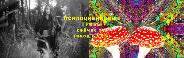 прущая мука Баксан